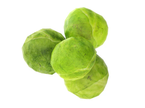 Брюссельская капуста 3D Модель