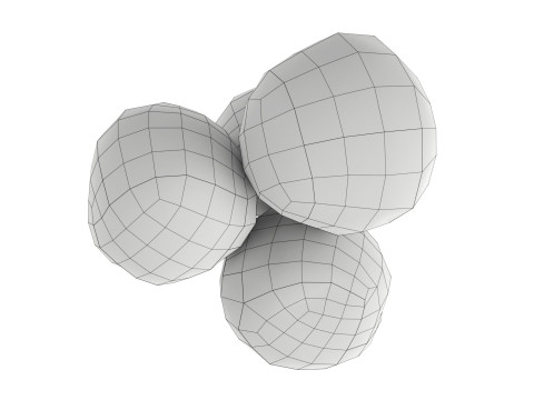 Brussels sprout 3Dモデル