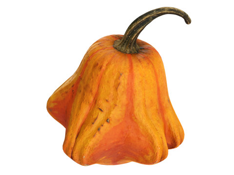 Crown-shaped pumpkin Modelo 3D