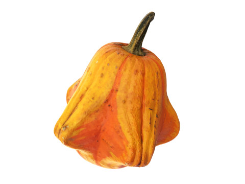 Crown-shaped pumpkin Modello 3D