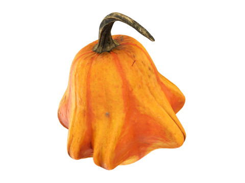 Crown-shaped pumpkin Modello 3D