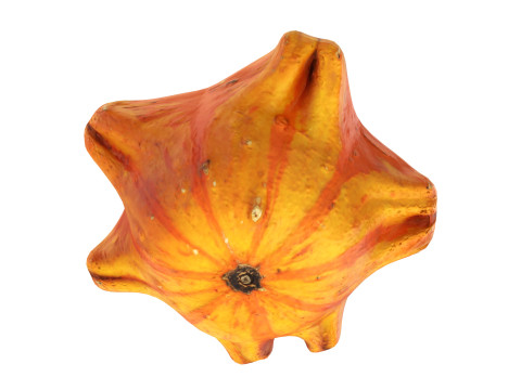 Crown-shaped pumpkin Modello 3D