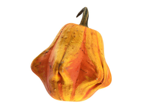 Crown-shaped pumpkin Modello 3D