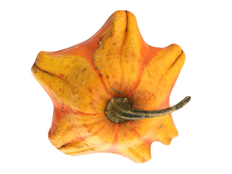 Crown-shaped pumpkin Modello 3D