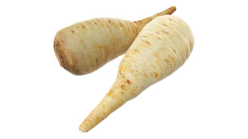 Parsnip 3D Model .c4d .max .obj .3ds .fbx .stl .blend 