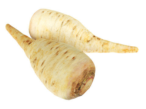 Parsnip 3D Model