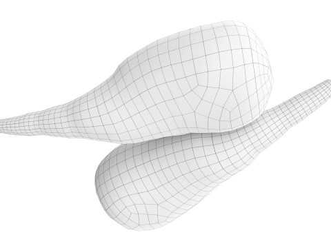 Parsnip 3D Model
