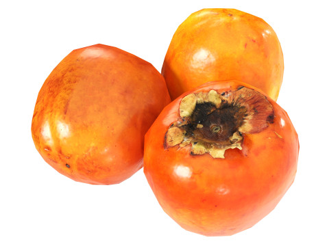 Persimmon 3D Model