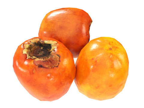 Persimmon 3Dモデル
