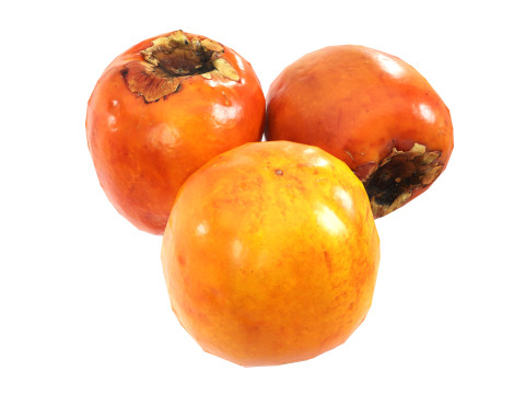 Persimmon 3Dモデル