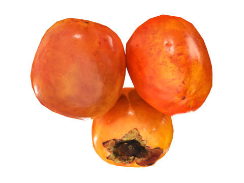 Persimmon 3Dモデル