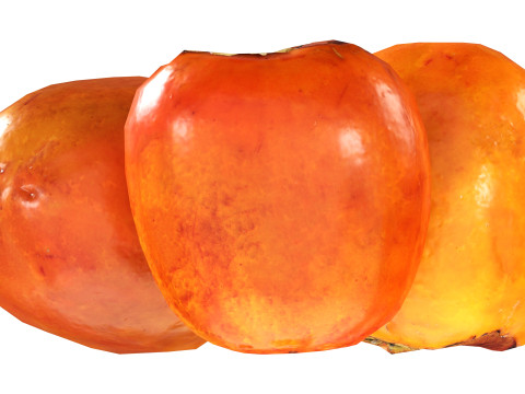 Persimmon 3Dモデル