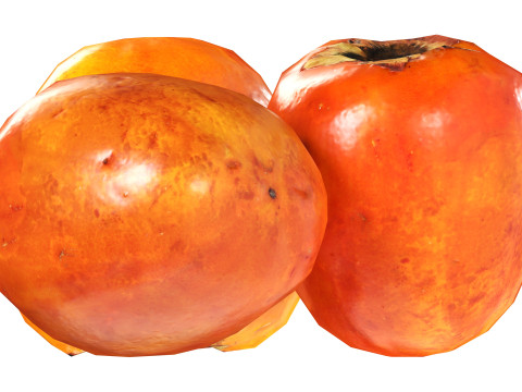 Persimmon 3Dモデル