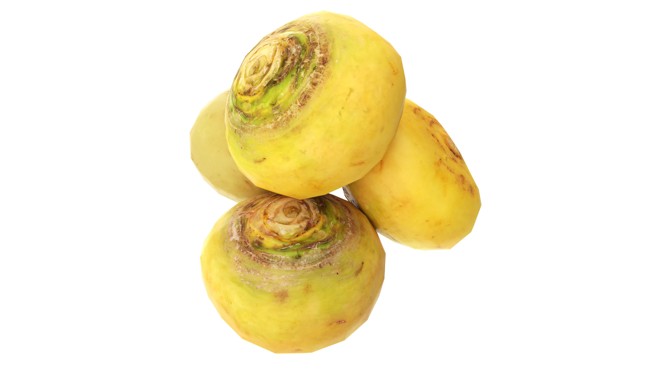 カブ 3Dモデル .c4d .max .obj .3ds .fbx .stl .blend