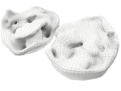 くるみ半分 3Dモデル