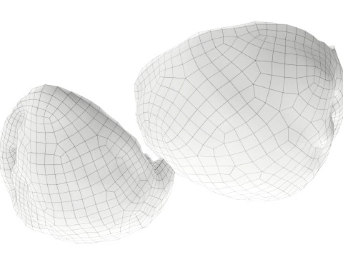 くるみ半分 3Dモデル