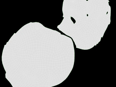 くるみ半分 3Dモデル