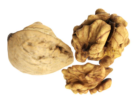 Walnut peeled 3D Model