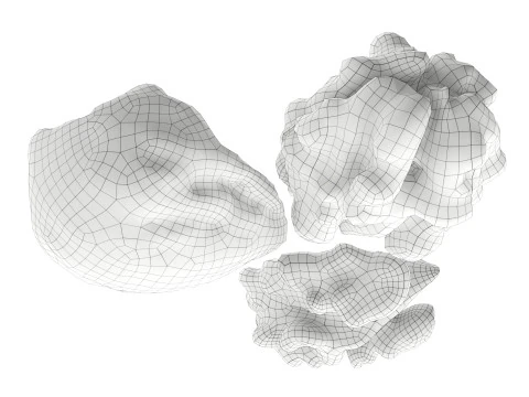 Walnut peeled 3D Model