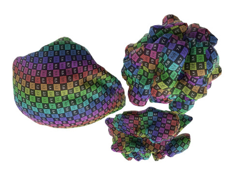 Walnut peeled 3Dモデル