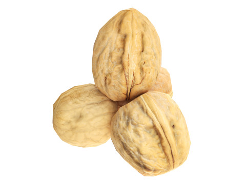 Walnut whole Modelo 3D