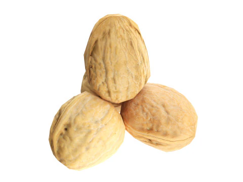 nuez entera Modelo 3D