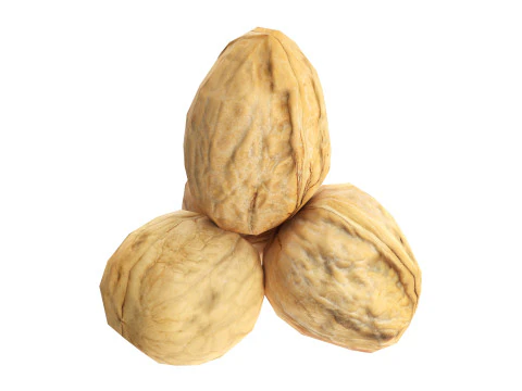 nuez entera Modelo 3D