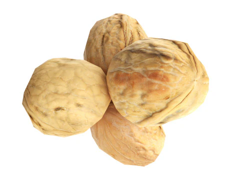 nuez entera Modelo 3D