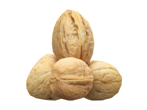 nuez entera Modelo 3D