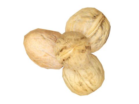 nuez entera Modelo 3D