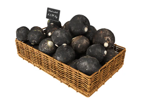 Black radish in tray with price tag 3D Model