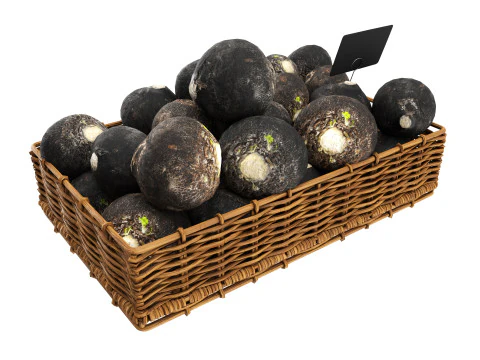 Black radish in tray with price tag 3D Model