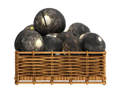 Black radish in tray with price tag 3D Model