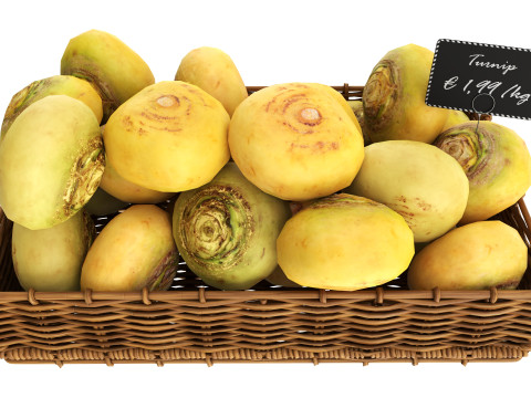 Turnip in tray with price tag 3D Model