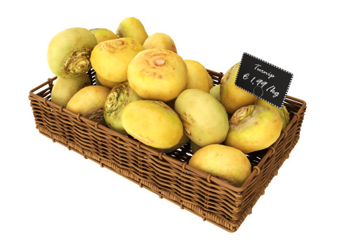 Turnip in tray with price tag 3D Model