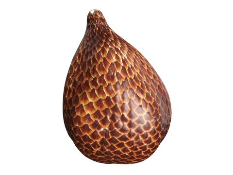 Salak Snake fruit 3D Model