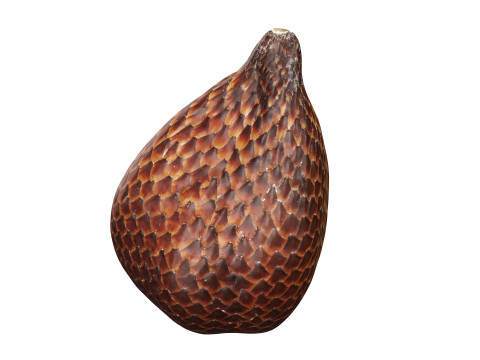 Salak Snake fruit 3D Модель