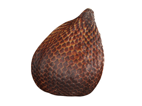 Salak Snake fruit 3D Модель