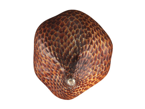 Salak Snake fruit 3D Модель