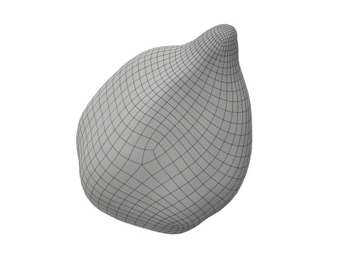 Salak Snake fruit 3D Модель