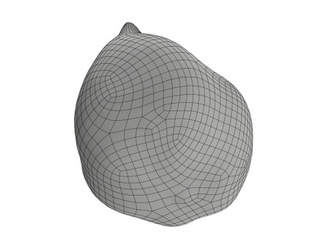 Salak Snake fruit 3D Модель