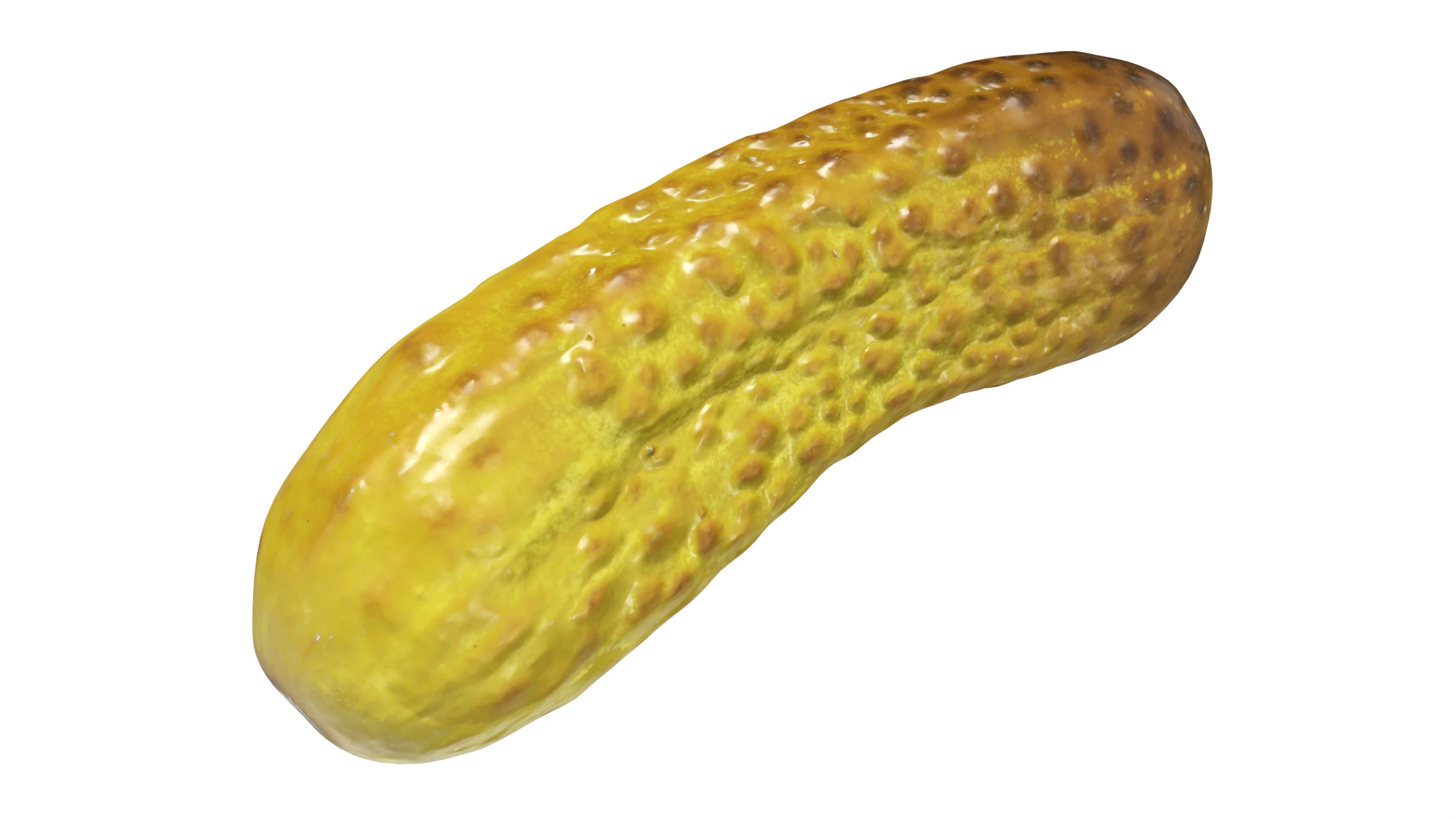 Pickled cucumber 3D Model .c4d .max .obj .3ds .fbx .stl .blend 