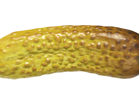 Pickled cucumber 3D Model