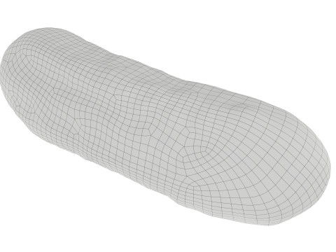 Pickled cucumber Model 3D