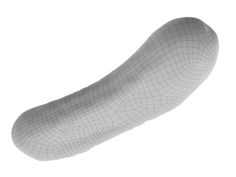 Pickled cucumber Model 3D