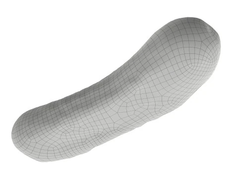 Pickled cucumber 3D Model