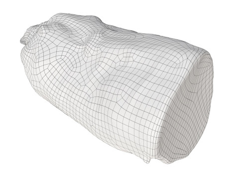 Boiled ham piece 3D Model