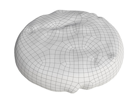 Cookie with choko chips 3D Модель