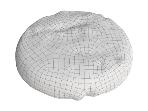 초코칩이 들어간 쿠키 3D 모델