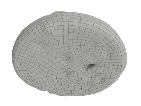 Cookie with choko chips 3D Модель
